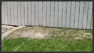 Sprinkler Maintenance: Burn spot in the lawn