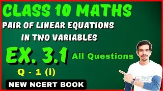 Pair of Linear Equations in Two Variables | Class 10 Maths Ch 3 | Question 1 (i) | Exercise 3.1