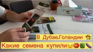 КАКИЕ СЕМЕНА 🍅🍆 КУПИЛИ В ДУБАЕ И ГОЛАНДИИ 👩‍🌾