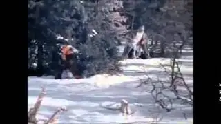 Новогодняя киновикторина