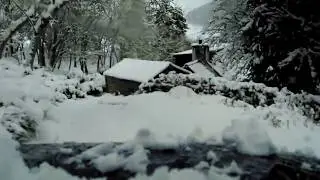 Snow? What snow? Sorry about shaky video - it was scared!