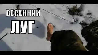 Коп на лугах Сумской области