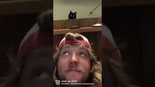 Шанс, что тебя убьёт котик скинув что-то на голову низок, но никогда не равен нулю 