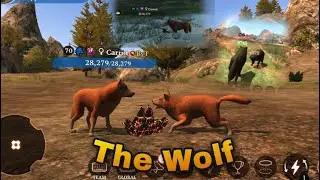 The Wolf - PvP Moments