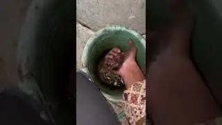 nah kan