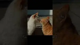 E eu acho que gosto mesmo de você...