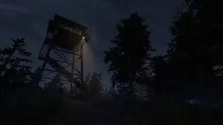 Alone in a forest...