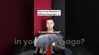 How to say Elephant in different languages! 