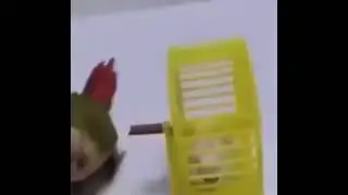 HeLp