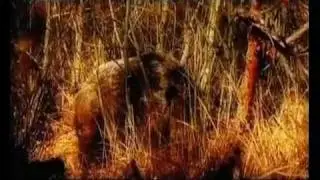 Ни пуха ни пера (Эпизод 1)