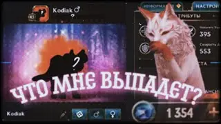 #wolftales-ТРАЧУ  ГЕМЫ! ЧТО МНЕ ВЫПАДЕТ?🤧💞