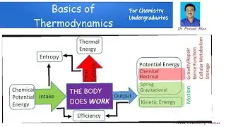 Thermodynamics for Chemistry Under Graduates