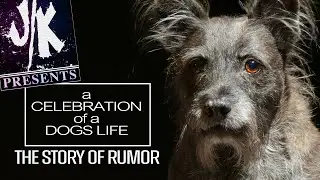 JK presents: a Celebration of a Dogs Life