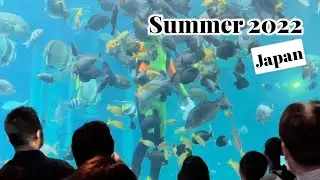 Hakone en Aquarium Kanagawa | Japan summer vacation 2022