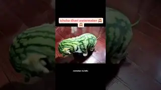 AI image Transformation#ai #trend #editing #vfx #samastipur #bihar