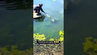 Ставь лайк! 😂  