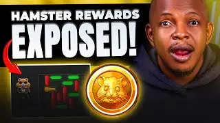 Hamster Kombat Rewards: How to Be Among the Few Who Get Paid