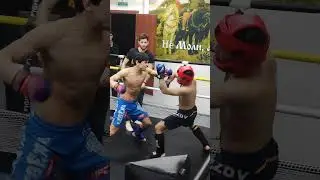 Эрматов Алымбек LION #mma #ufc #мма #школабоевыхискусств