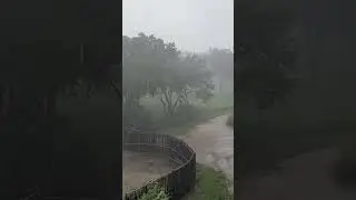 Florida Rain as seen from Animal Kingdom lodge room windown