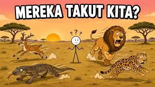 Why Are Wild Animals Afraid of Humans?