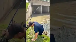 Mancing dapet monster aligator gar #mancing #aligatorfish