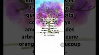 Practice Speaking French -5 #learningfrench #tcfcanada #speakingfrench #shorts