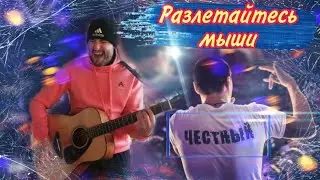 Честный - Разлетайтесь мыши 😎🔥 (кавер под гитару)