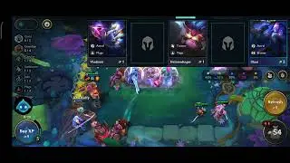 TFT Season 7 |  Braum Immortal With Blood Armor Anima Visage With Cavalier Transform