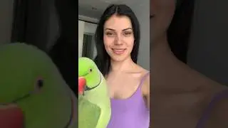 Пришел ко мне и смеется говорящий ожереловый попугай Ричи 