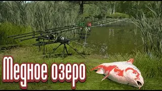 РР4 | Теперь с Вебкой! | Обмоем обнову, дзынь! | Розыгрыши | Алко, ГН, КАТЫ
