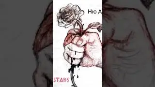 Ziyovuddin ft Islom (Ню Айрлик)
