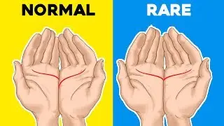 I Will Read Your Palm and Tell You What it Means
