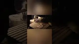 бизнес с нуля - бизнес идеи