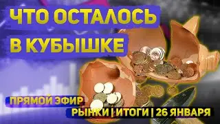 Что осталось в кубышке  | Приватизация