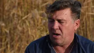 о чем дивчина