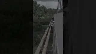 VIDIO STORY WA