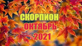 СКОРПИОН 🦂 ОКТЯБРЬ 2021г.ПОРА РЕШИТЕЛЬНЫХ ДЕЙСТВИЙ.❤️ Таро прогноз для скорпионов.