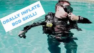 Orally Inflate BCD at the Surface - PADI Open Water Diver Course  Scuba Diving Tips