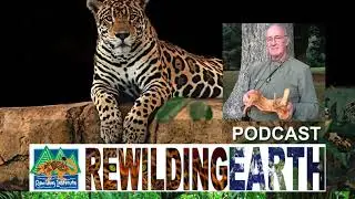 Episode 10: Bob Leverett, Old-Growth Forest Network