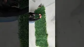 Learn How to Build an Artificial Vertical Garden in a DIY Style 