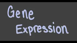 Types of Gene Expression Notes