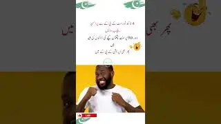 4 لاکھ ٹورسٹ کے پی کے سے پرامن پنجاب واپس