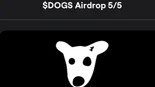 BLUM - DOGS AIRDROP! Как выполнить квест DOGS AIRDROP в BLUM? Как получить DOGS? Ton кошелек DOGS