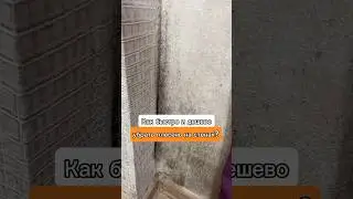 Как быстро убрать плесень на стенах. Два домашних средства 