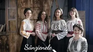 Sânzienele - Mociriţă cu trifoi