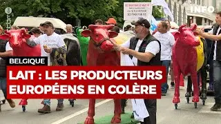 Politique agricole européenne : les producteurs de lait réclamaient un revenu équitable  - RTBF Info