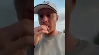 Выживалово #shorts