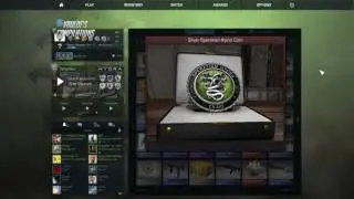 CS:GO Operation Hydra Coin (Silver)