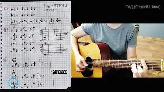 "САД" (СЕРГЕЙ ШИВА) – подробный РАЗБОР НА ГИТАРЕ на заказ.