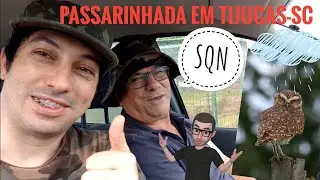 Passarinhada em Tijucas-SC e... olha só o que aconteceu!
